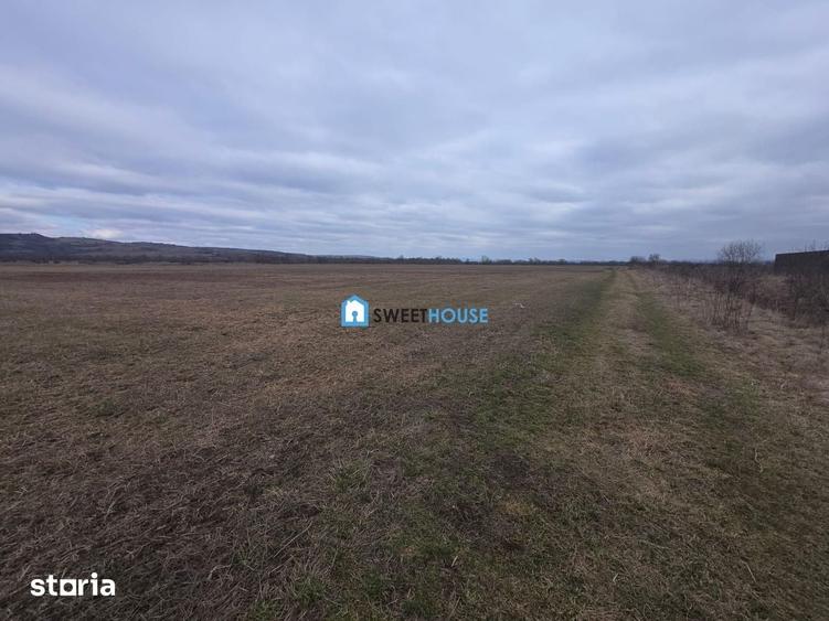 Teren de 20200 mp, în Central