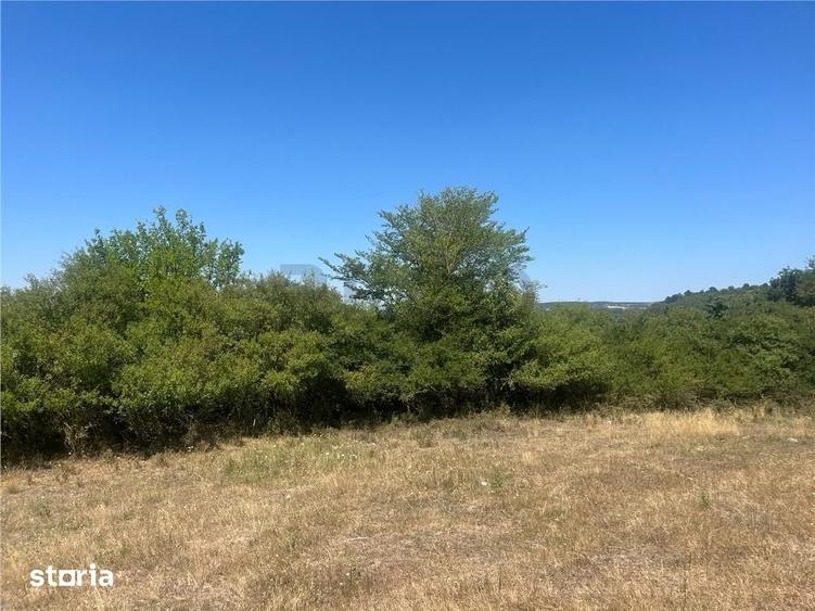 RECO Teren extravilan Holod 27400 mp - 2