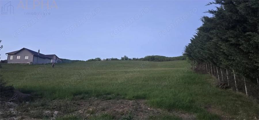 Teren de 5000 mp, în Crainimăt