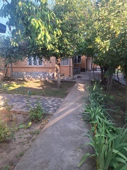 Casa de vanzare Chitila - 6