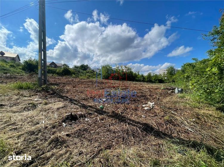 Ocazie! Visani str Castelul Grecilor TEREN 707mp intravilan toate util - 9