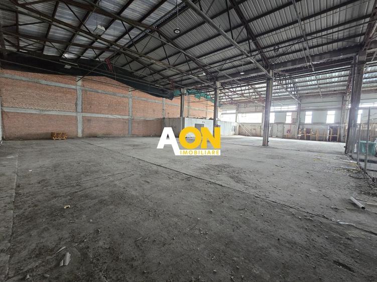 Spațiu industrial, de 900 mp, în Bărăbanț