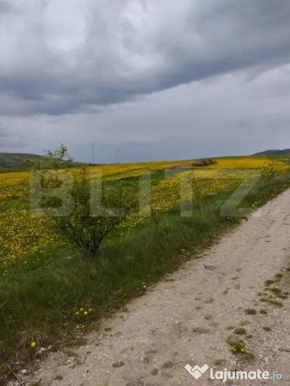 Teren de 3621 mp, în Petrești