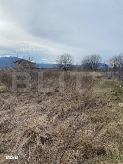 Teren de 712 mp, în Central