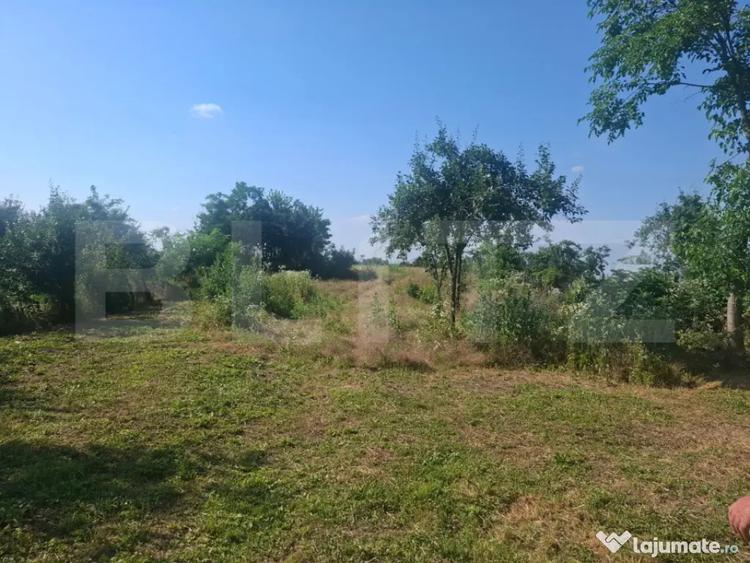 Casă cu 2 camere cu Teren 5000 Mp în Mogoșani