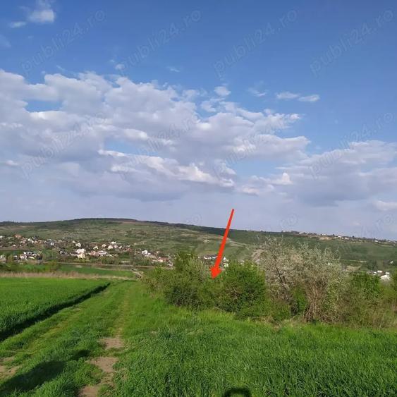 Teren de 3000 mp, în Șorogari