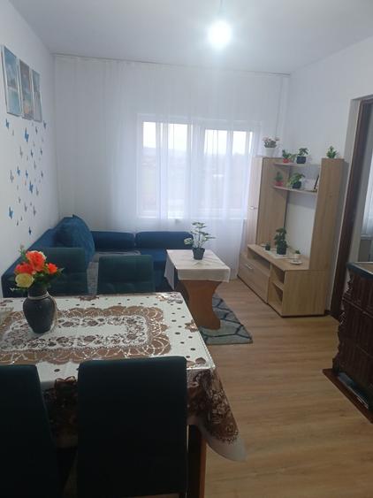 Apartament cu 2 camere semidecomandat în Ilia