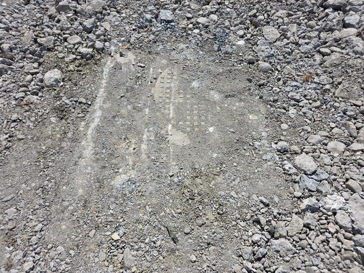 Teren Construcții intravilan de 755 mp, în Dezmir