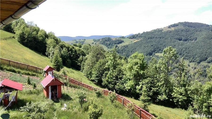 Casă cu Teren 6000 Mp în Câmpeni