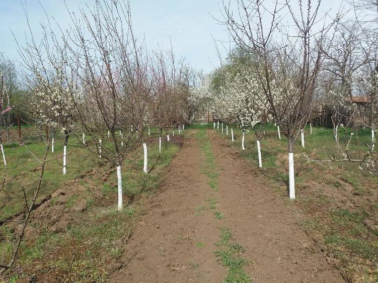 Casă cu 4 camere cu Teren 3210 Mp în Constantinești