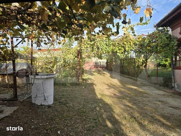 Casă cu 3 camere în Viișoara