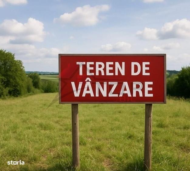 Spațiu comercial, în Tomești