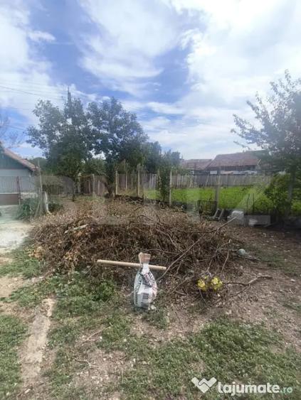 Casă cu 1 camere cu Teren 423 Mp în Central