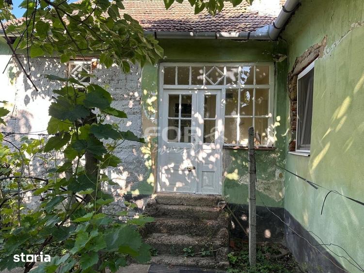 Teren de 3000 mp, în Tămășeu