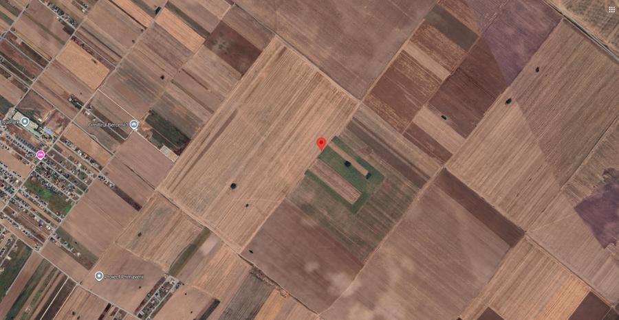 Teren agricol extravilan de 4973 mp, în Berceni