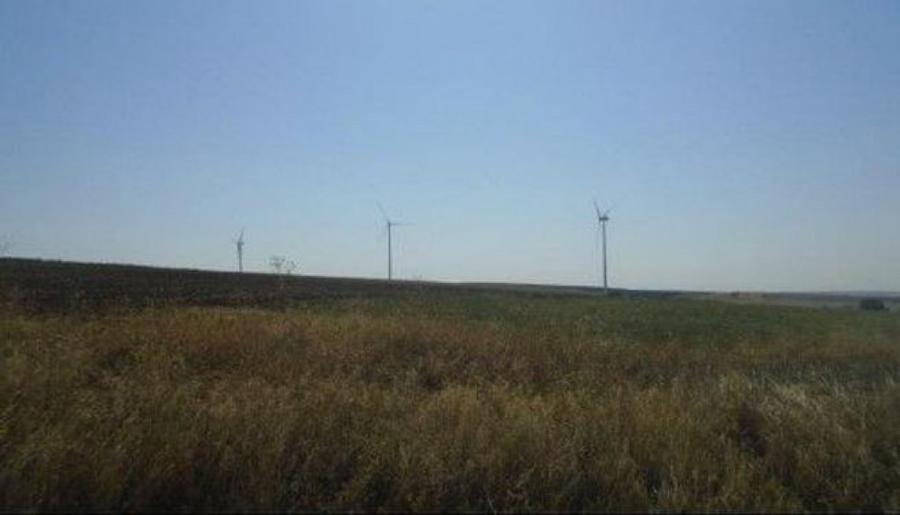 Teren de 5000 mp, în Vârlezi