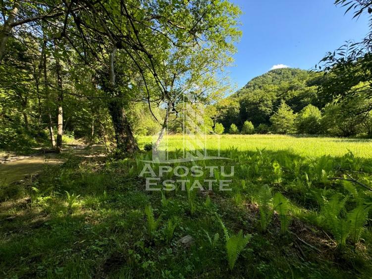 Teren Construcții extravilan de 1300 mp, în Groș