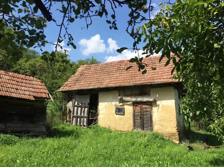 Casă cu 3 camere în Mociu