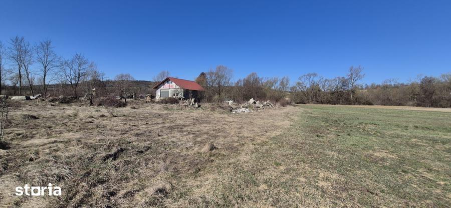 Teren de 2260 mp, în Dumbrăvița