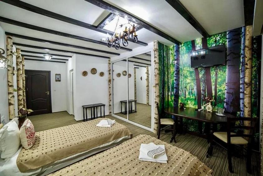 Hotel/Pensiune, de 20 mp, în Bogdan Vodă