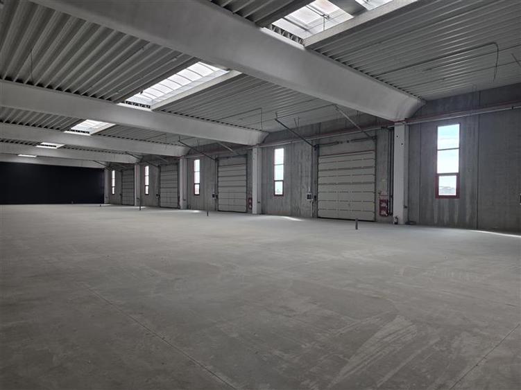 Vanzare depozit/spatiu industrial/hala Chitila - Rudeni, ILFOV - 12