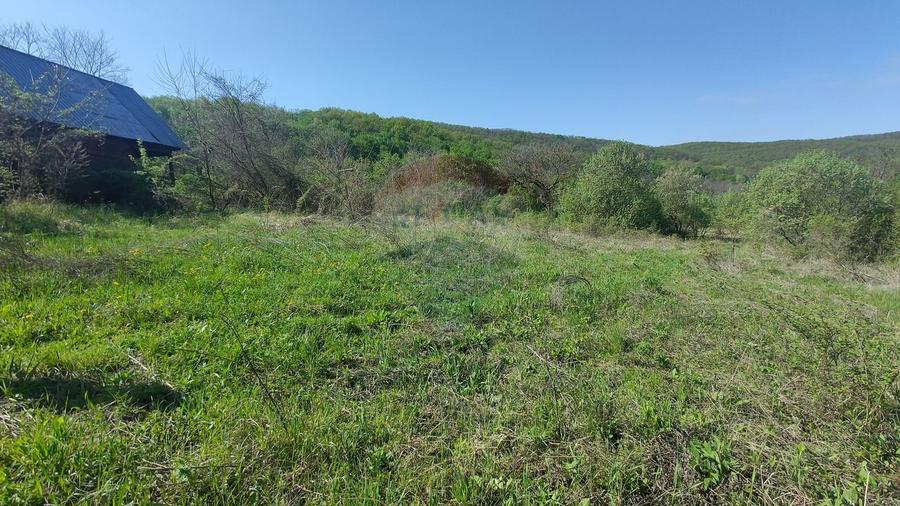 Teren Construcții intravilan de 3350 mp, în Stejeriș