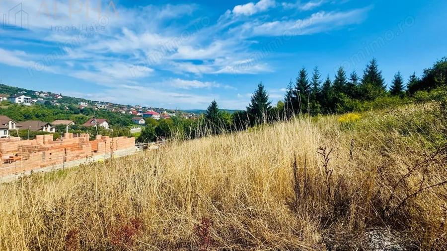 Teren de 680 mp, în Viișoara