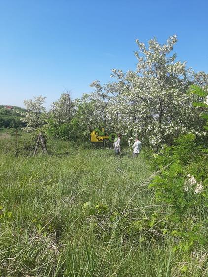 Teren agricol extravilan de 21434 mp, în Nord-Est