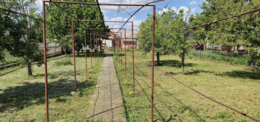 Casă cu 3 camere în Central