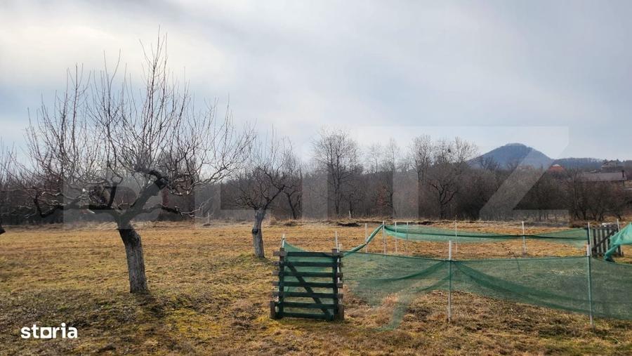 Teren extravilan, 20 de arii, Valea Rusului, pretabil pentru investiti - 3