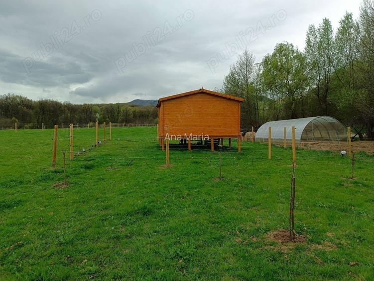 Teren de vanzare la marginea padurii, aproape de Sali?te, jud Sibiu