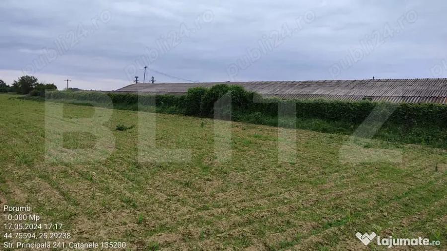 Teren 1 hectar Intravilan + Extravilan | Acces facil | P - 1
