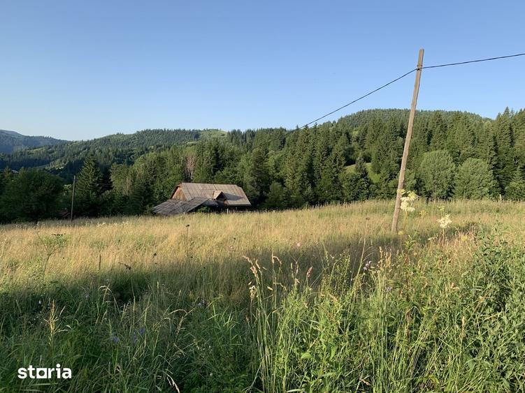 Teren de 4625 mp, în Central