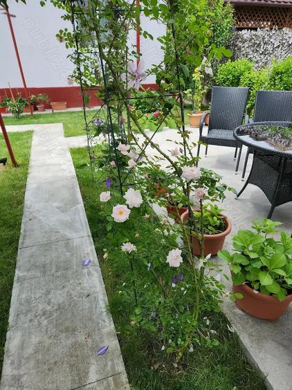 Casă cu 4 camere cu Teren 350 Mp în Central