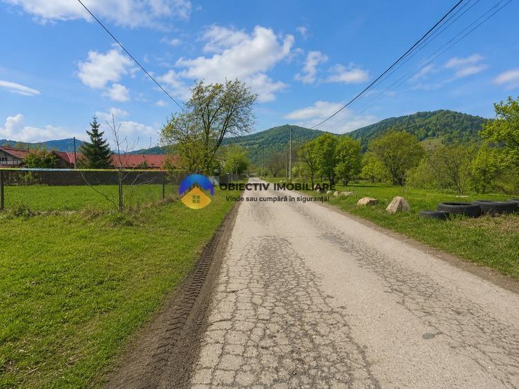 Teren Construcții intravilan de 1200 mp, în Vădurele (Alexandru cel Bun)