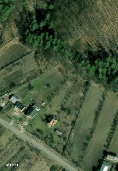 Casă cu 3 camere cu Teren 4226 Mp în Băbana