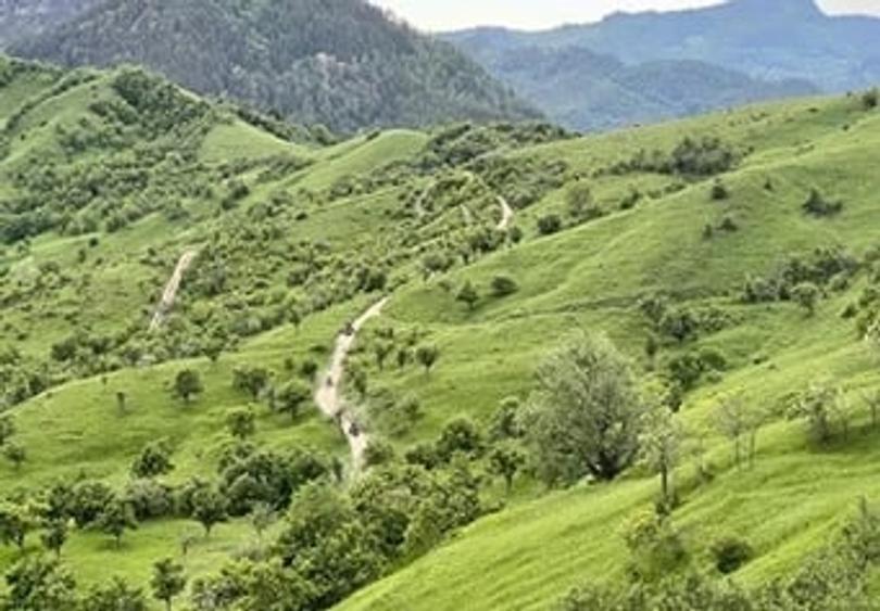 Teren de 5000 mp, în Brăești