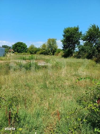 Teren de 3150 mp, în Central