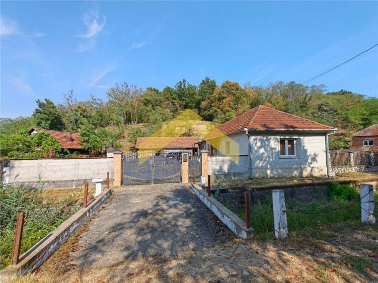 Casă cu 3 camere cu Teren 2504 Mp în Cuiaș