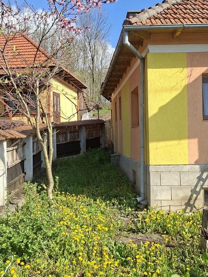 Casă cu 3 camere în Dobriceni