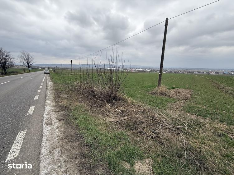 Teren de 3255 mp, în Grănicești
