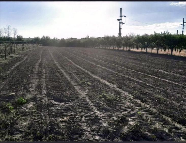Casă individuală cu 3 camere cu Canalizare în Dejești