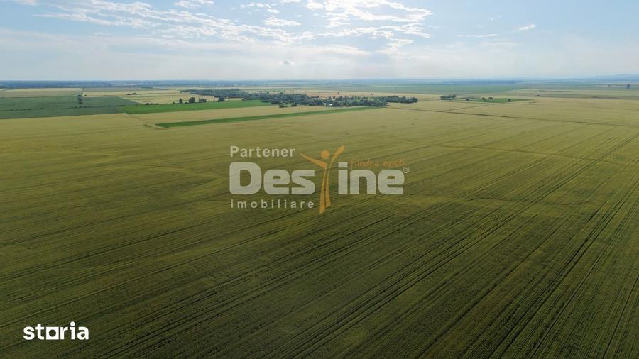 Teren de 41225 mp, în Dumbrava