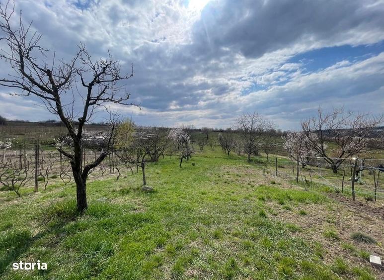 Casă cu 2 camere în Săldăbagiu de Munte