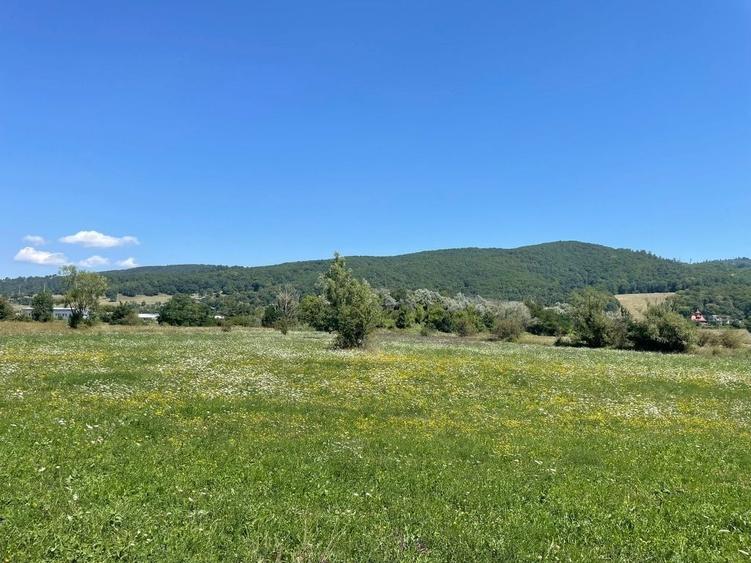 Teren de 4786 mp, în Coman