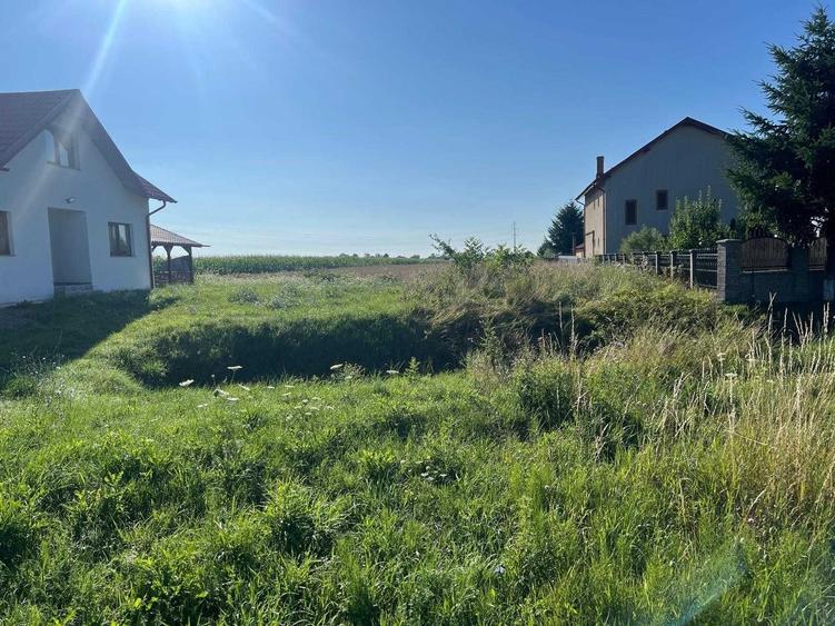 Teren de 7700 mp, în Cotu Băii