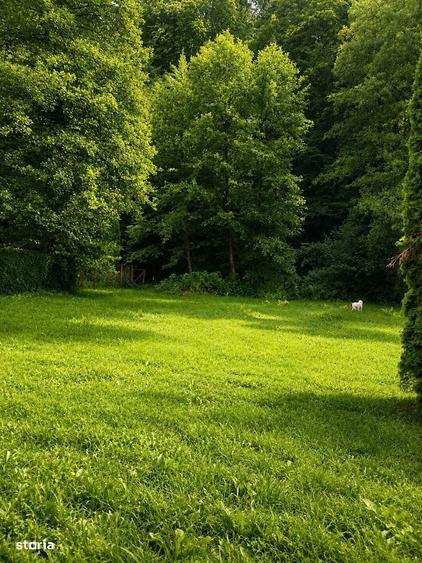 Casa de vacanta in Campu Cetatii,teren 2.400 mp, langa rau si padure - 15