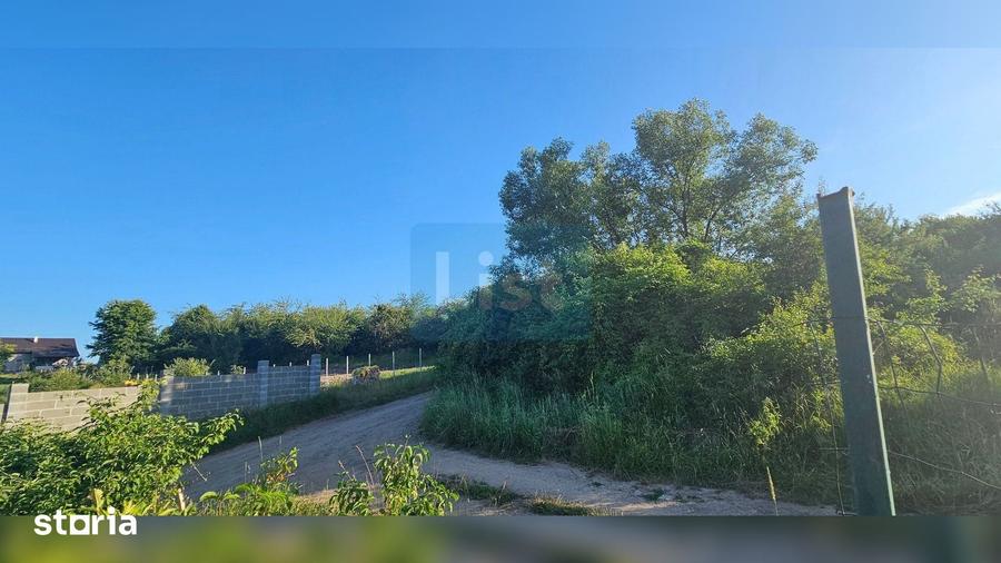 Teren de 1300 mp, în Dumitra