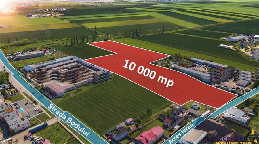 Teren agricol intravilan de 10000 mp, în Hălchiu