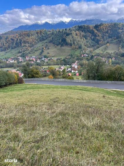 Teren extravilan cu priveliste catre Bucegi Moieciu de Jos 4.700 mp - 5